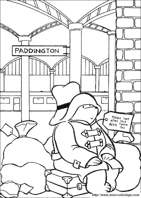 immagine orso paddington