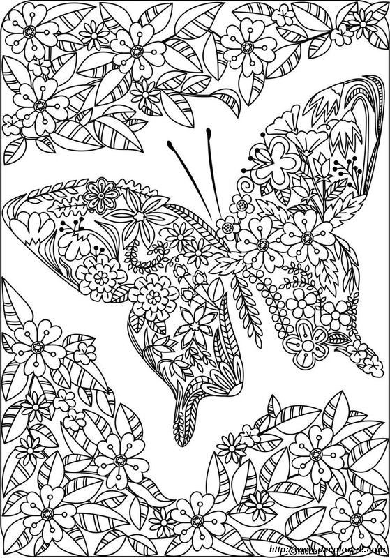 immagine Farfalla e fiori per adulti