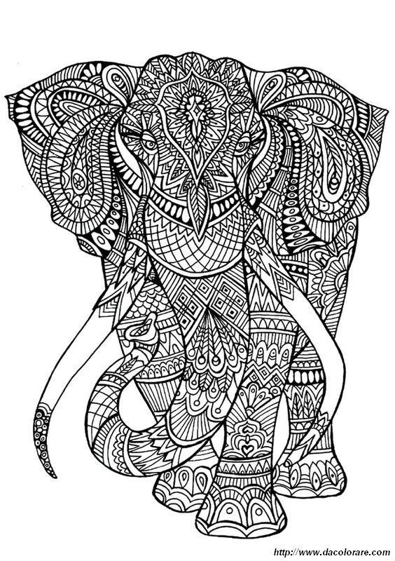 immagine Un elefante maestoso