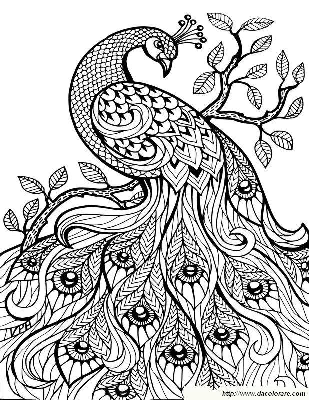 immagine Un pavone su un ramo