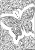 Farfalla e fiori per adulti