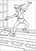 peter pan 56