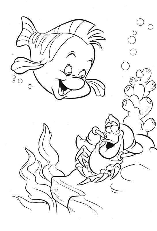 immagine Sebastian und Flounder grandi amici