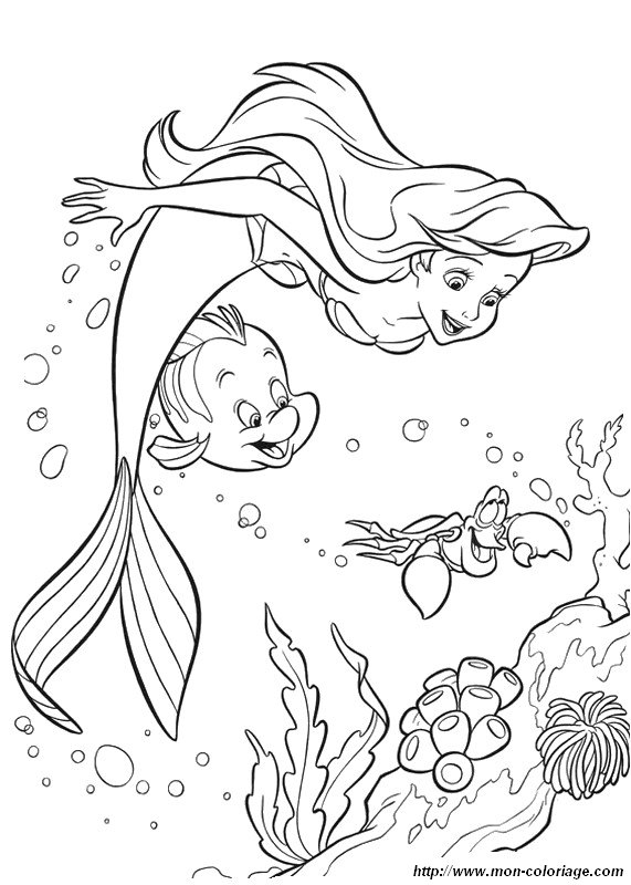 immagine ariel con granchio sebastian e flounder