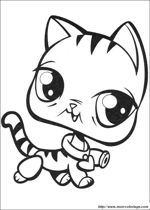 immagine Gattino con un cuore