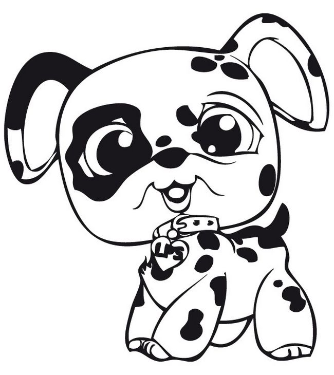 immagine Pet Shop cane dalmata