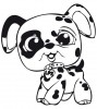 Pet Shop cane dalmata