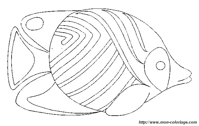 immagine 2 pesce