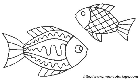 immagine pesce 3