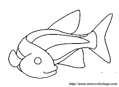 immagine un pesce 1