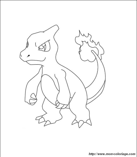 immagine camaleonte charmeleon