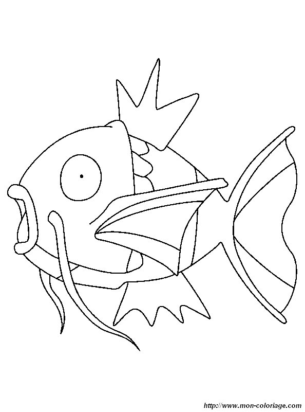 immagine pesce pokemon