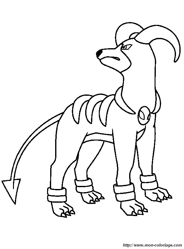 immagine pokemon cane