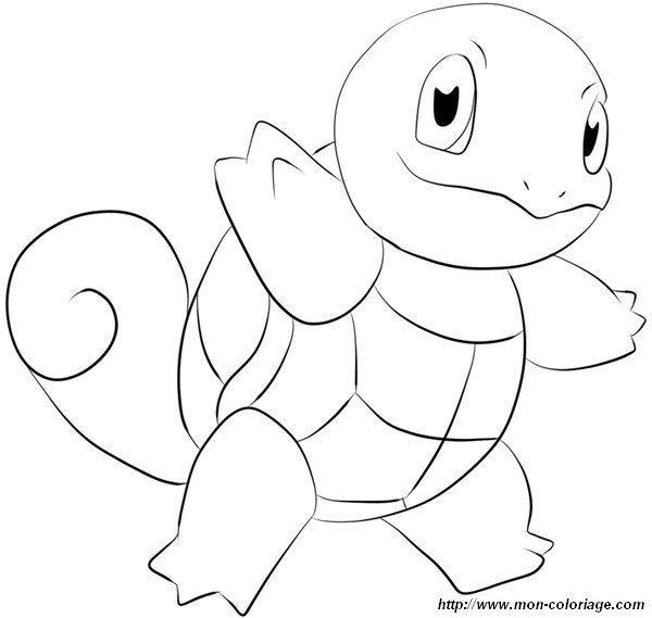 immagine tartaruga squirtle