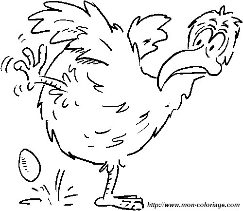 immagine gallina 6