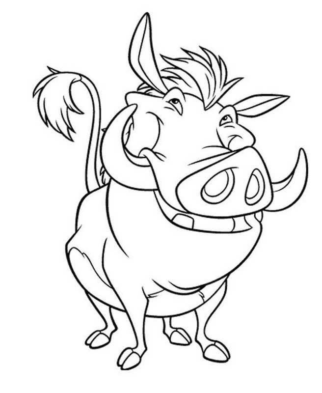 immagine Pumbaa il facocero