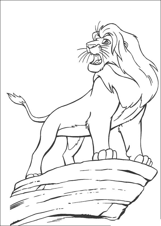 immagine il re leone 1