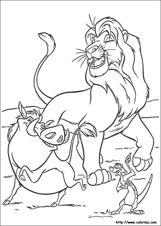 immagine il re leone 6