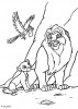 il re leone 7