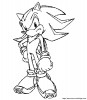 disegni sonic