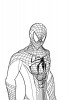 Disegni da colorare spiderman