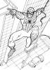 Spiderman un eroe agile