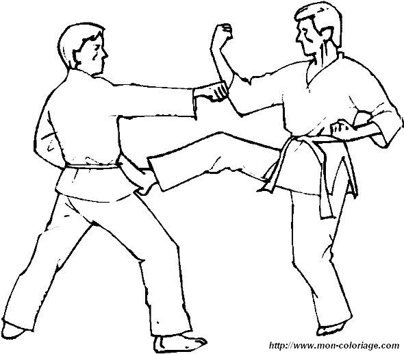 immagine judo