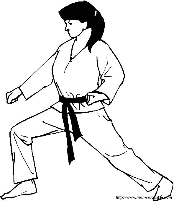 immagine karate