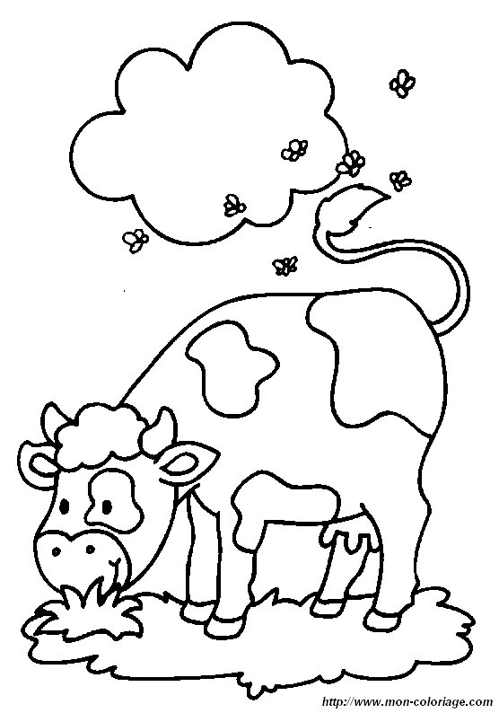 immagine una vacca