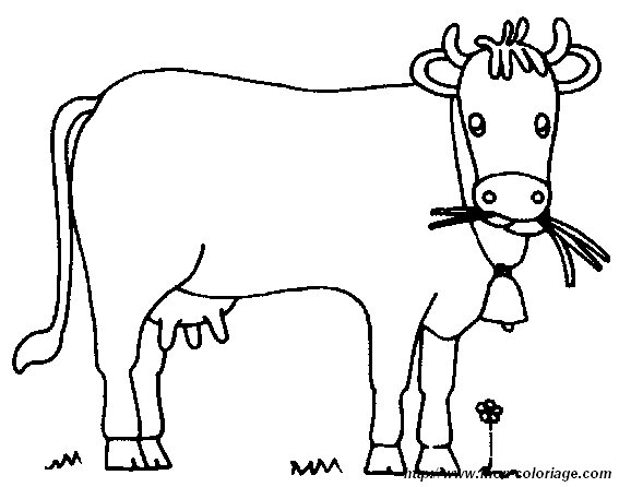 immagine una mucca